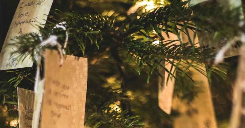 Post blog Tamara Giger