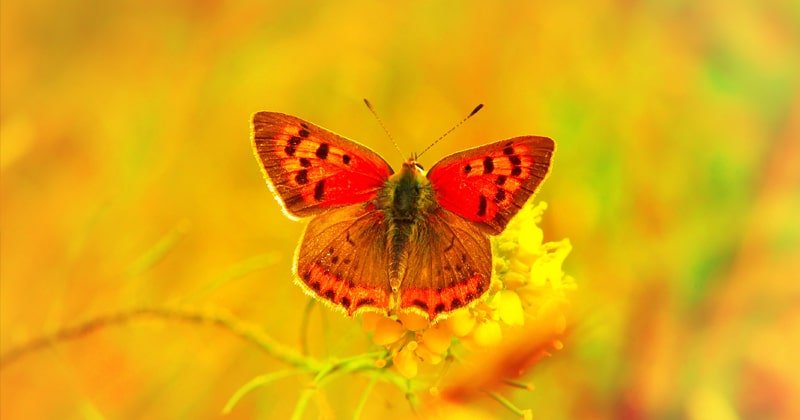 Post blog Tamara Giger